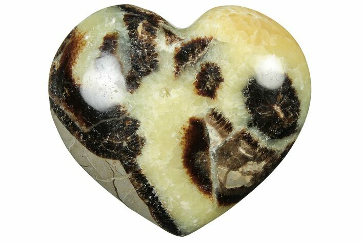 Polished Septarian Heart - Madagascar #205168